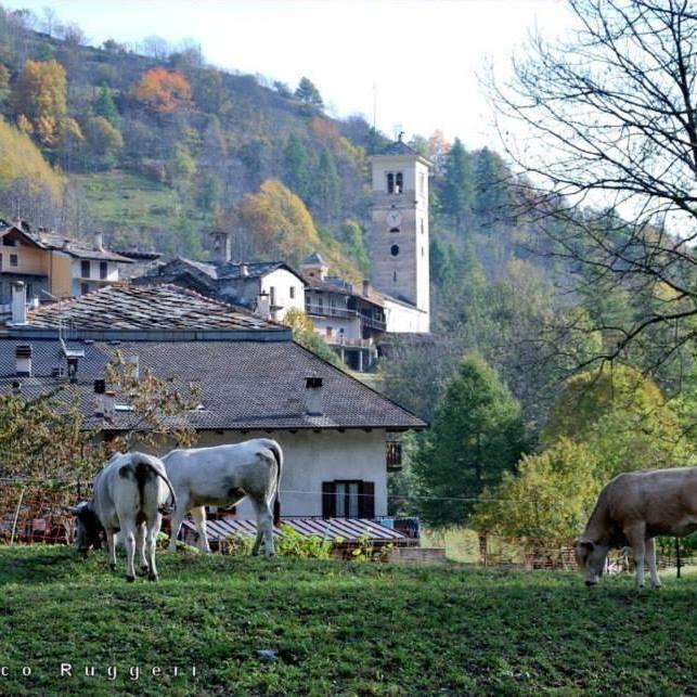 Agriturismo Il Mulino Delle Fucine Villa Кастелделфино Екстериор снимка